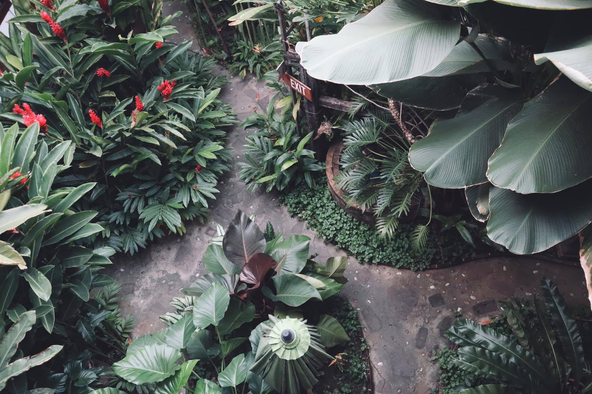 Shewe Wana Suite Resort Chiang Mai Zewnętrze zdjęcie