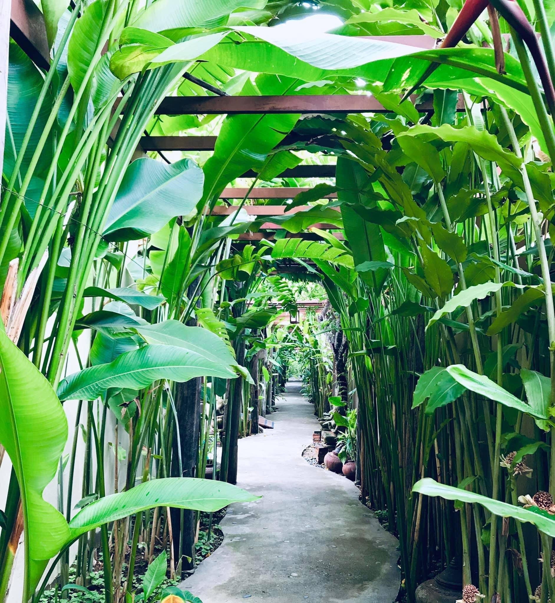 Shewe Wana Suite Resort Chiang Mai Zewnętrze zdjęcie